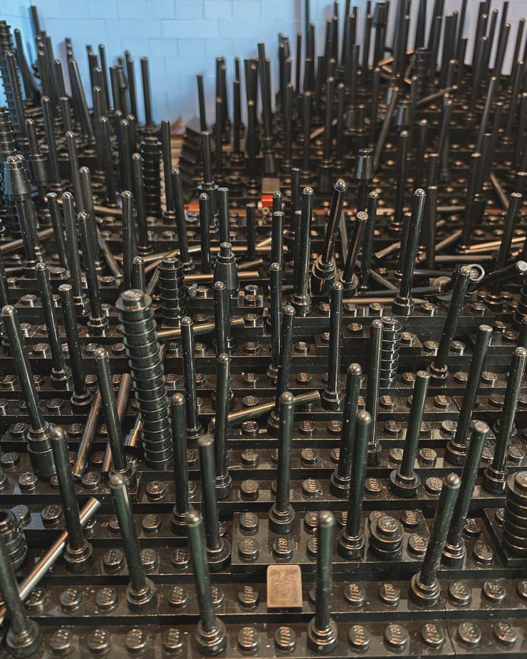 The bare trees of Nazko